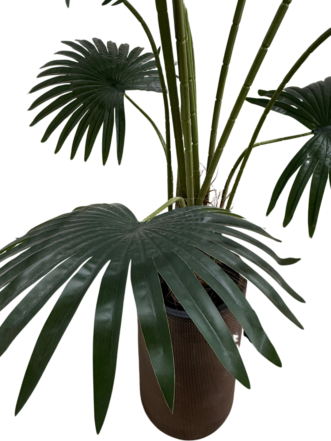 146
