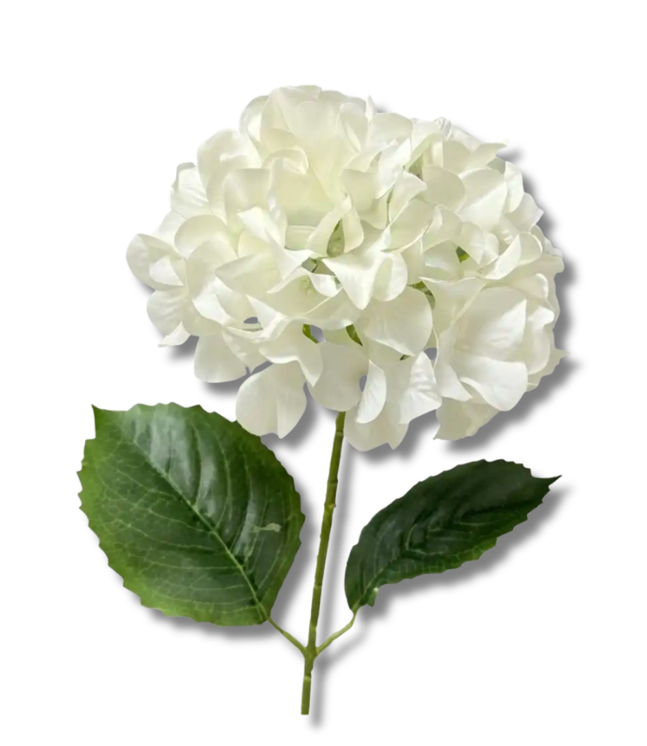 Hydrangea Douban Grand Installation