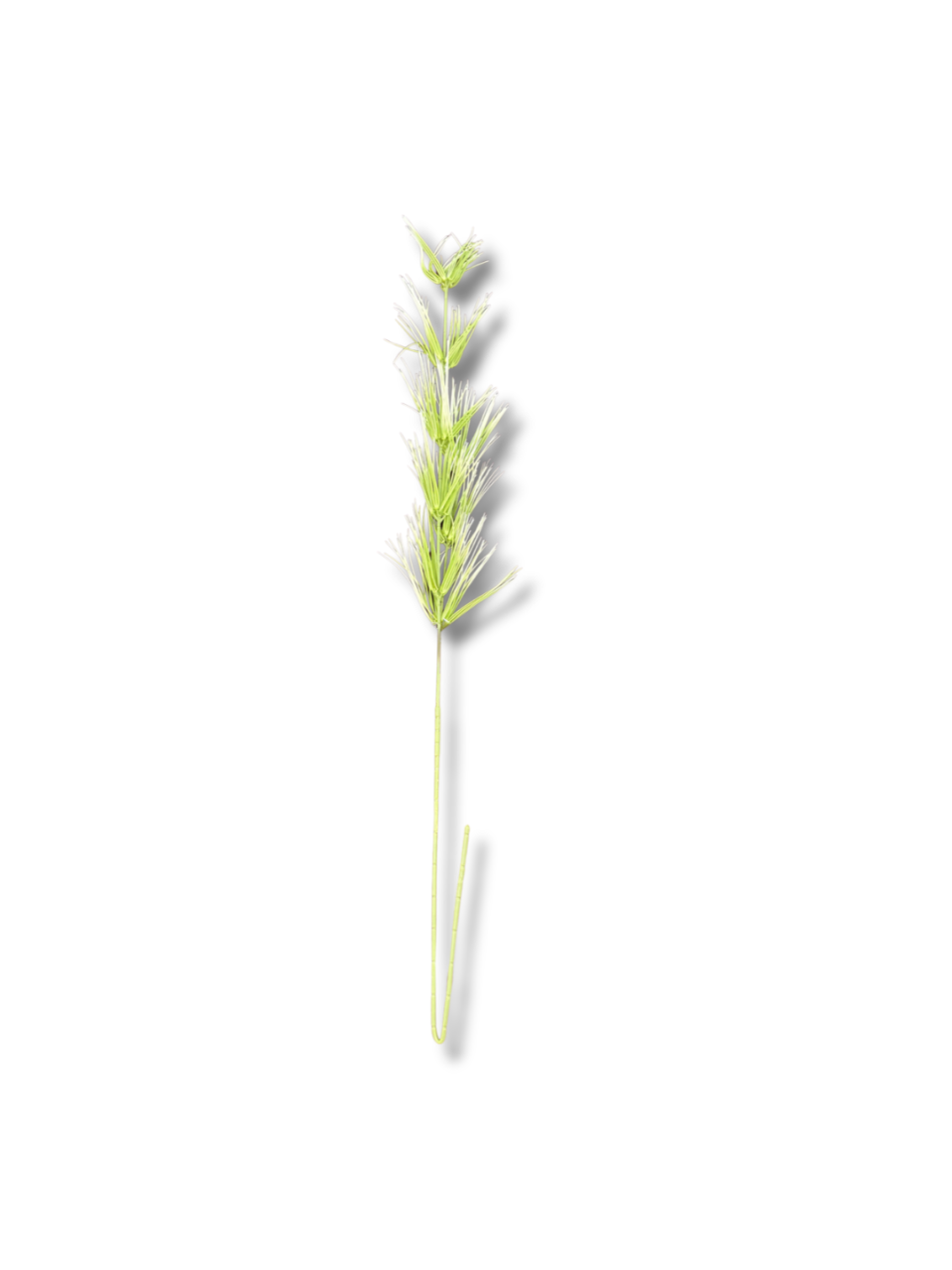 Bamboo Peak 130*60*80