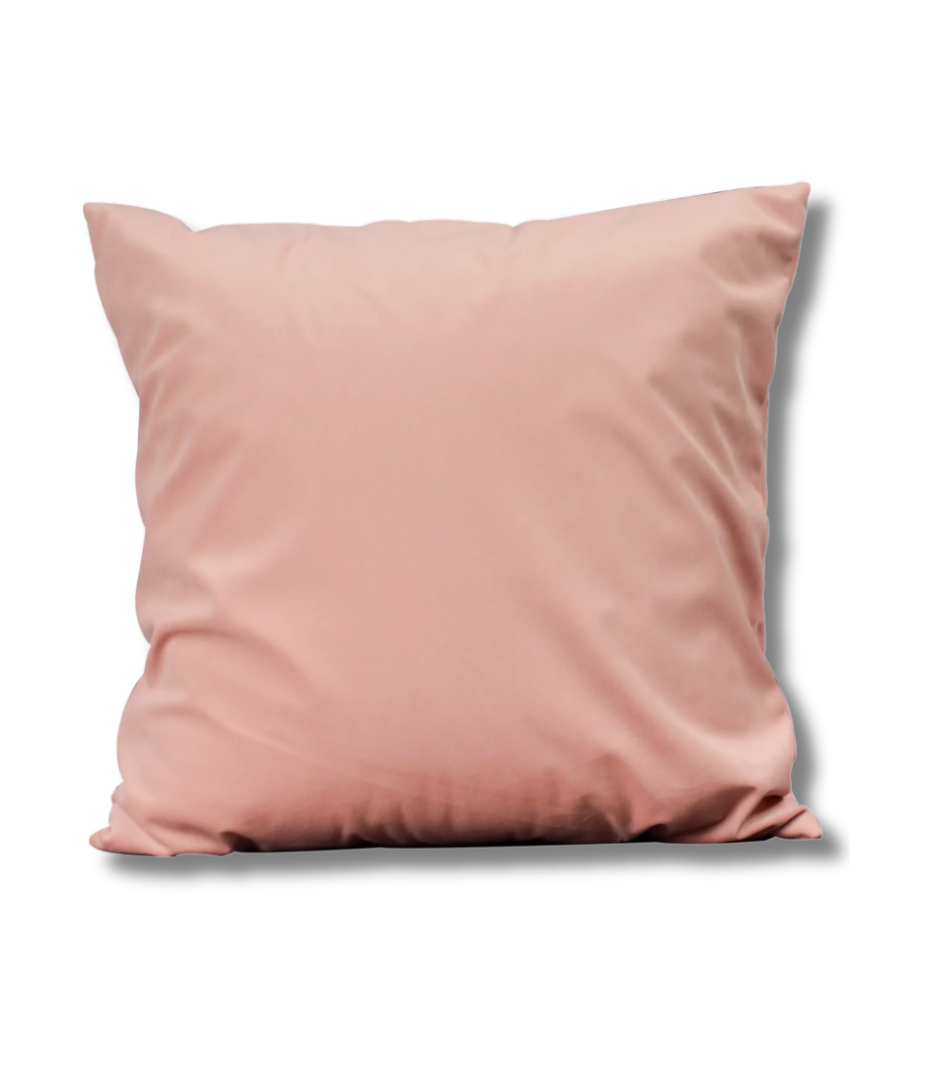 Peachy Pink Velvet Pillow