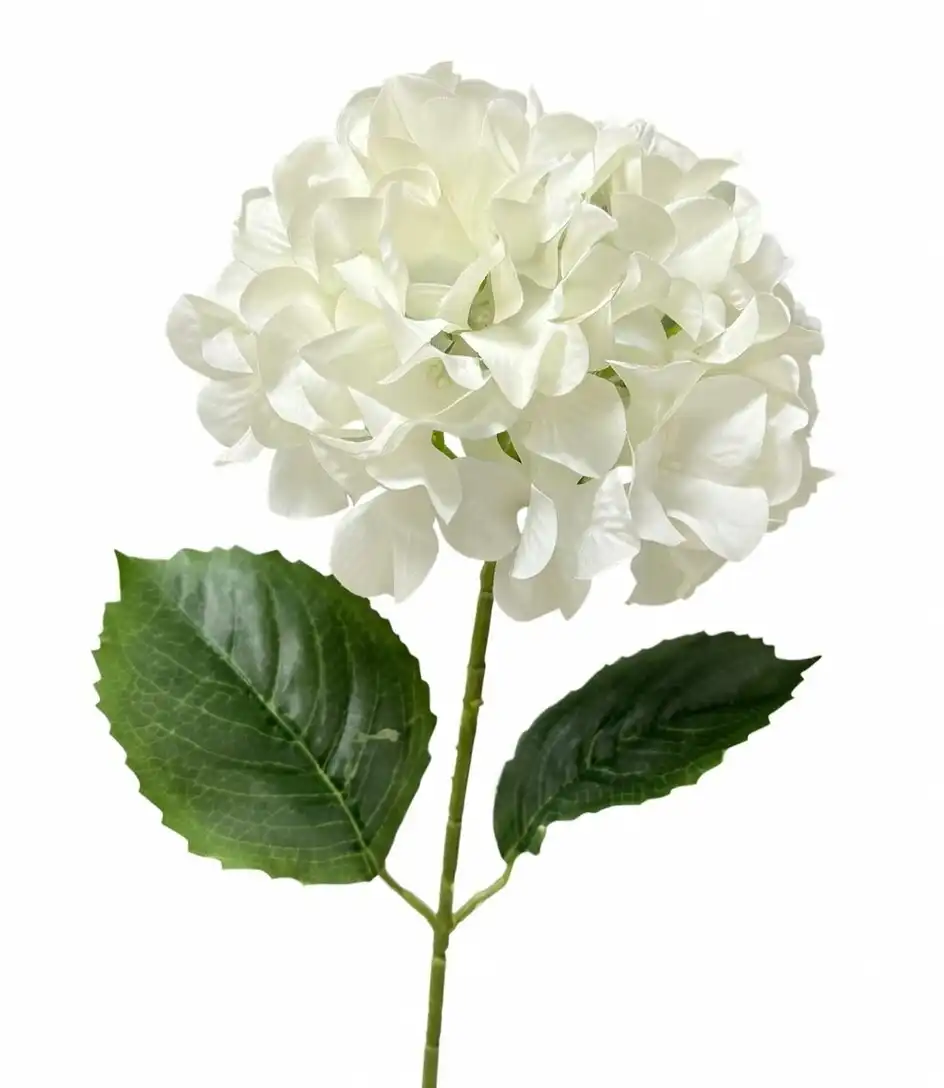 Hydrangea Douban Grand Installation